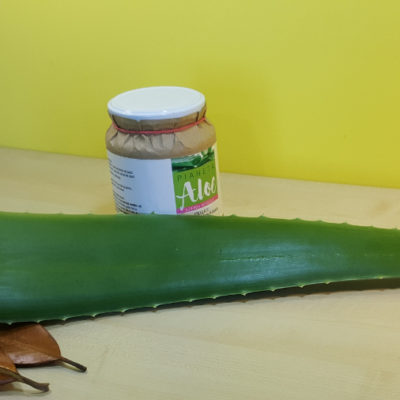 Foglie di Aloe Vera - Vendita - Acquista ora le sue proprietà curative - Pianeta Aloe